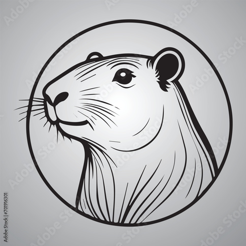 animal panda bear vector illustration wild life nature icon logo