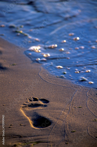 Footprint on the beach. Trace in a sand.