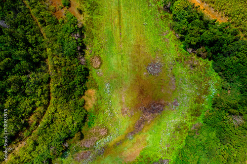 Aerial view of a dried lake in a sugarcane field located in Mauritius island