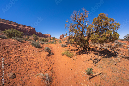 Obraz na płótnie hiking in the monument valley, arizona, usa w salonie