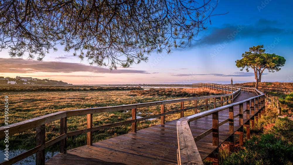 Fototapeta premium Caminhos de floresta