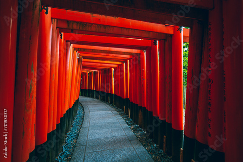 Fushimi Inari Shrine in Kyoto, Japan
