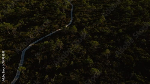 Tuhu's nature from above: Aerial view of Estonian swamp photo