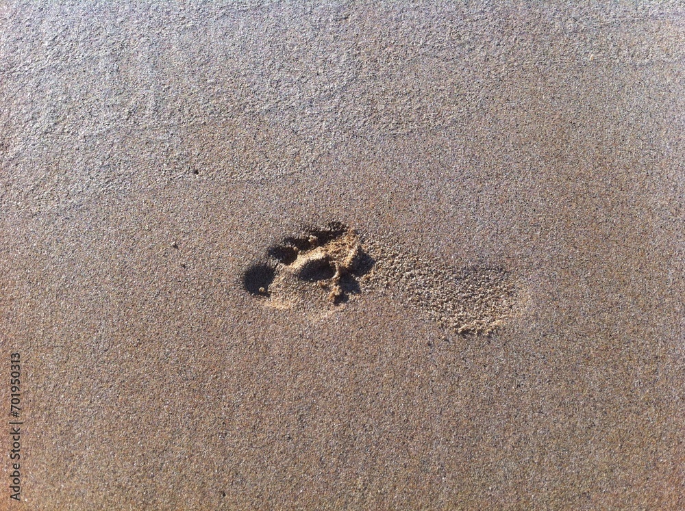North Atlantic footprint in sand from Ireland North Atlantic footprint in sand from Ireland