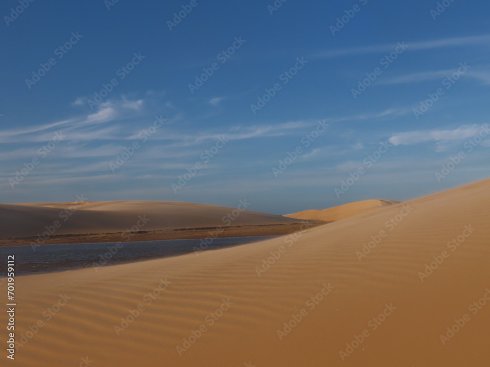 sand dunes in park