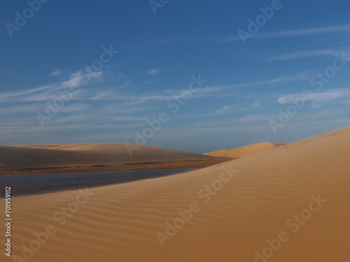 sand dunes in park