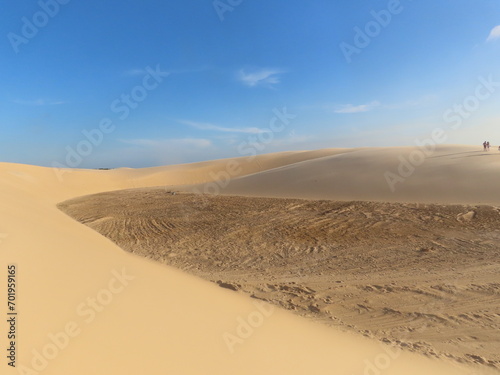 Fototapeta Naklejka Na Ścianę i Meble -  sand dunes in park