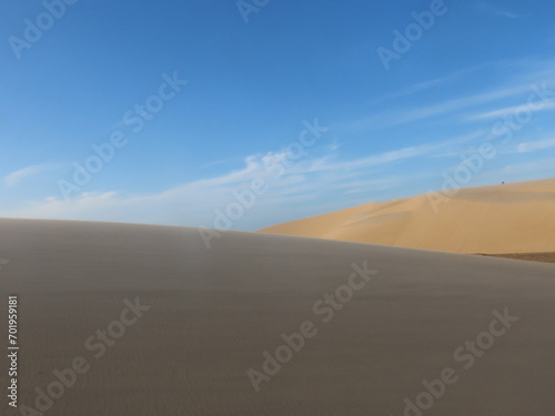 Fototapeta Naklejka Na Ścianę i Meble -  sand dunes in park