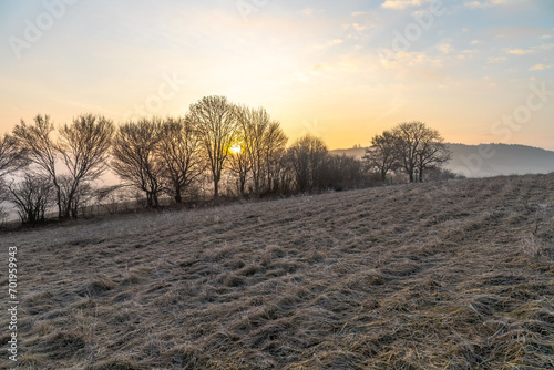 Tall grass lies in the foreground. In the background are trees behind which the sun rises during a frosty morning.