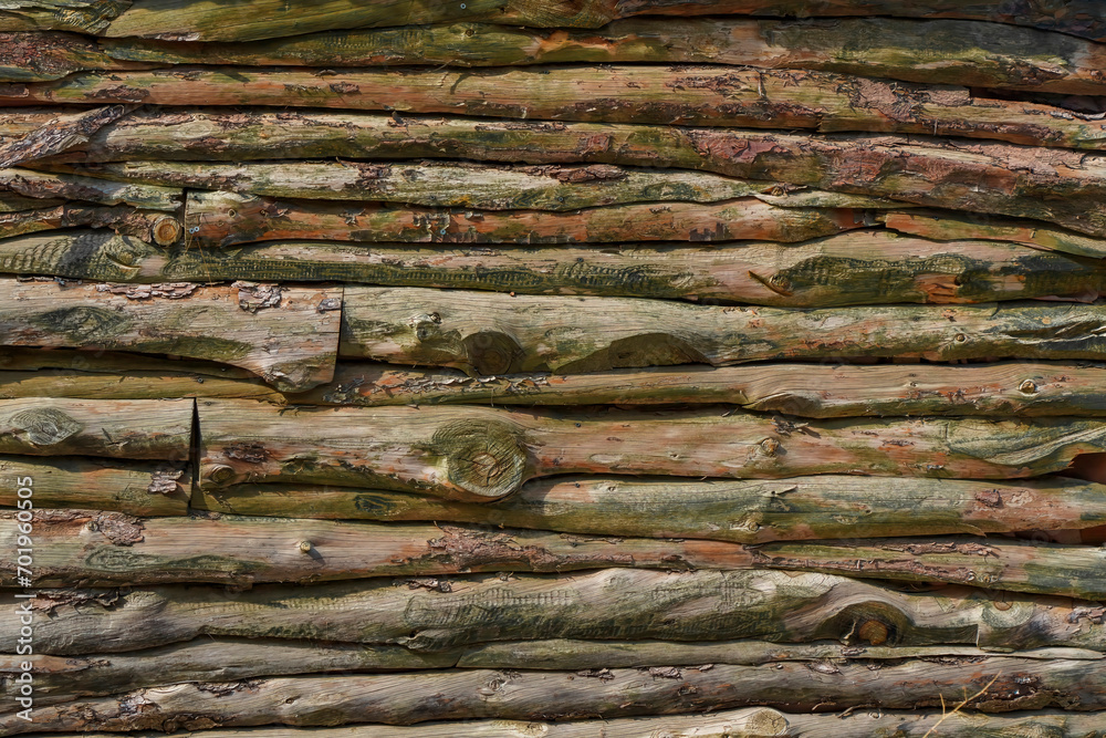 Wood textured surface. Wall made of wooden slats