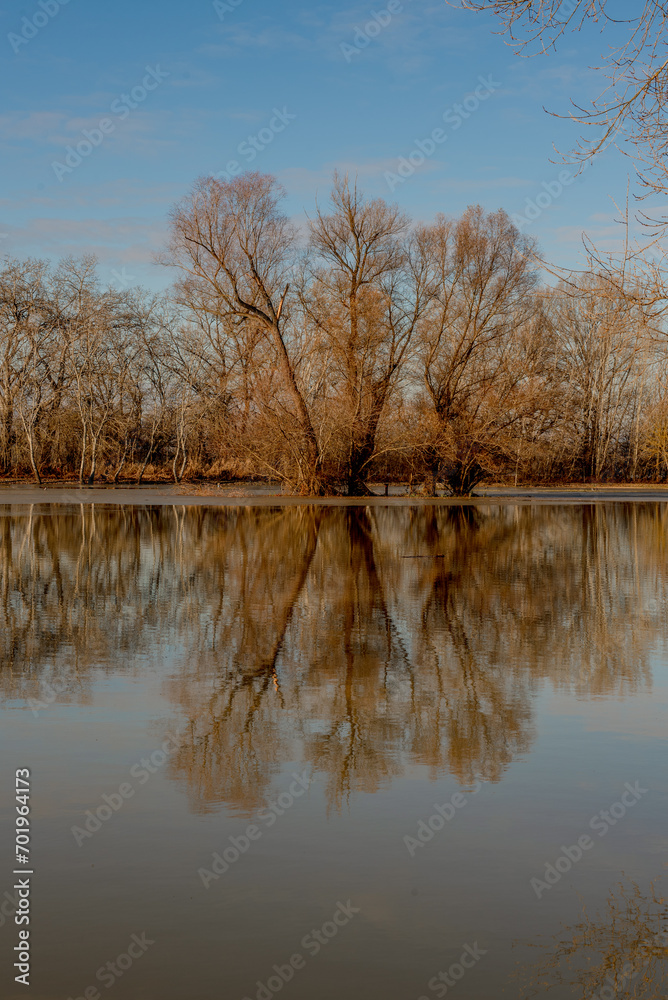 the trees on the river bank are flooded by the river the trees on the river bank are flooded by the river