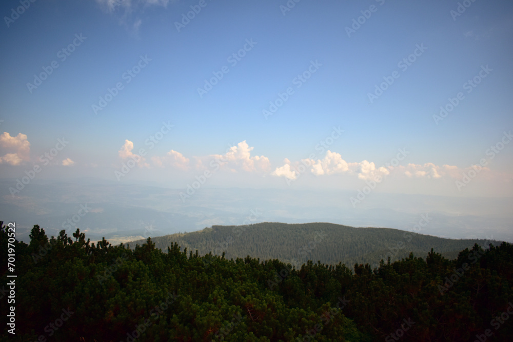 Panorama over the mountains in summer