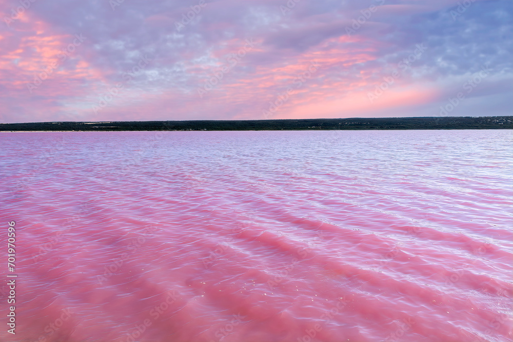 Pink Salt Lake at Gregory in Western Australia. Scenic shore of Hutt Lagoon between Geraldton and Kalbarri, with a vivid pink color for the presence of algae in summer.