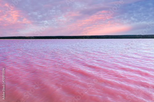 Pink Salt Lake at Gregory in Western Australia. Scenic shore of Hutt Lagoon between Geraldton and Kalbarri, with a vivid pink color for the presence of algae in summer. photo