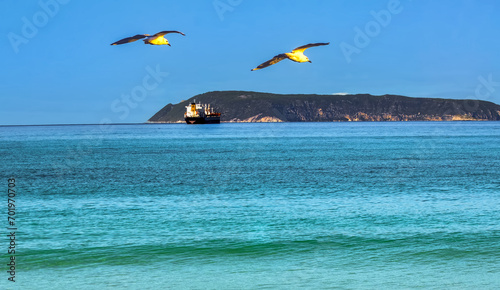 Obraz na płótnie Albany Western Australia has a major shipping Port w salonie