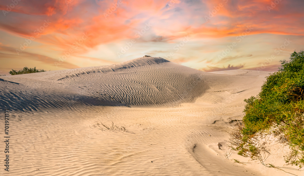 Lancelin Sand Dunes in Western Australia.