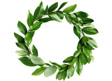 Green wreath with leaves on white transparent background. Wreath made of branches.  Spring composition. Flat lay, top view, copy space.