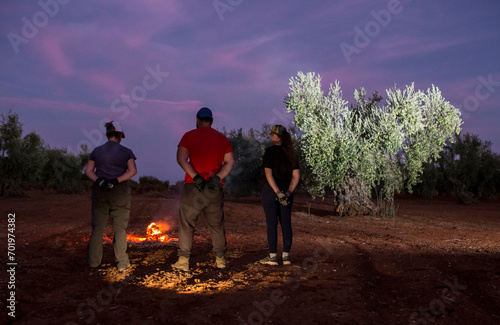 Three olive pickers warming up themselves