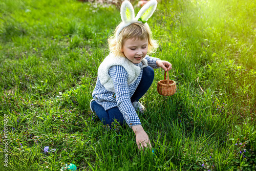 Easter tradition. A girl with a basket collects colorful Easter eggs in the grass. Child wearing bunny ears.