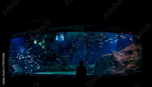 Fototapeta Naklejka Na Ścianę i Meble -  View of a big aquarium at Odysseo, Mauritius