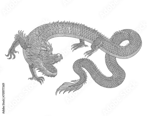 Angry Japanese dragon , vintage engraving drawing style illustration 