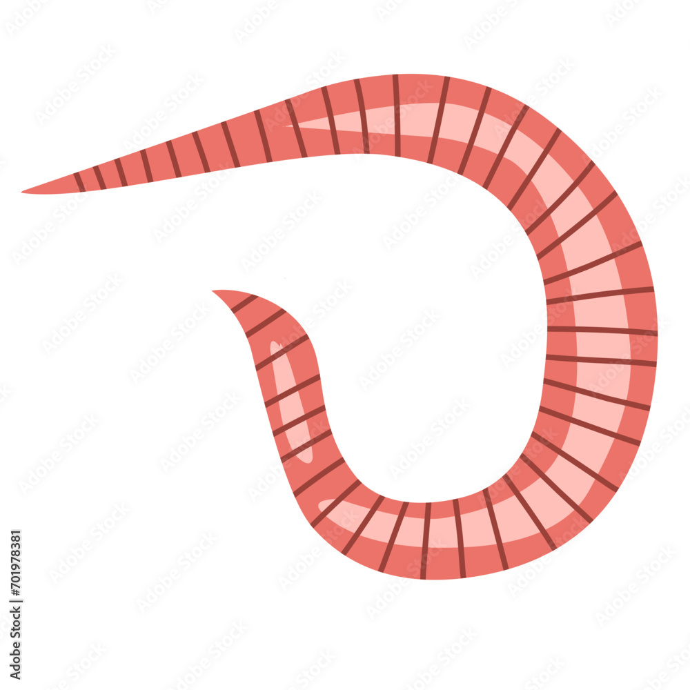 pinworm vector element pinworm vector element
