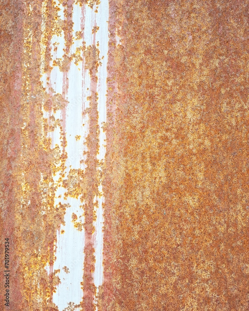 Fototapeta premium Texture background metal doors different types of rusted metal door
