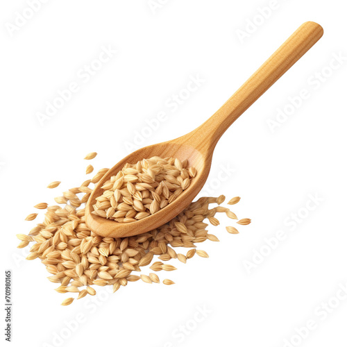 wooden spoon with rice