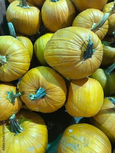 Ripe for the grabbing orb pumpkins 