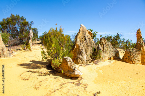 Obraz na płótnie The Pinnacles are limestone formations within Nambung National Park, near the town of Cervantes, Western Australia w salonie