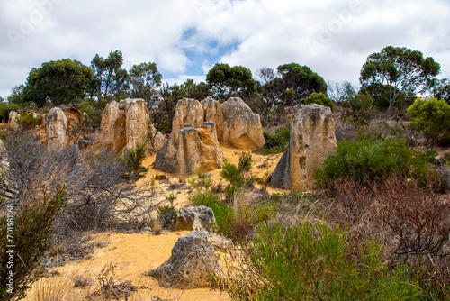 Obraz na płótnie The Pinnacles are limestone formations within Nambung National Park, near the town of Cervantes, Western Australia w salonie