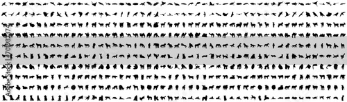 500 animals (vector)