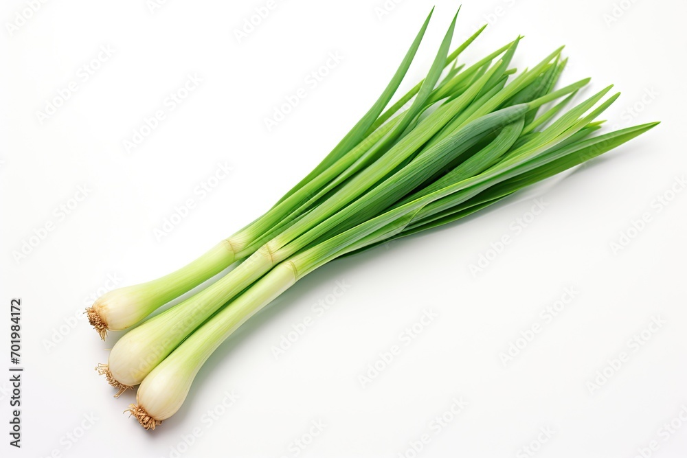 Fresh green garlic standing alone on a white backdrop Fresh green garlic standing alone on a white backdrop