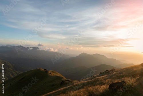 Misty and cloudy landscape, mountains, valleys, Beautiful golden fields in the morning in Myanmar