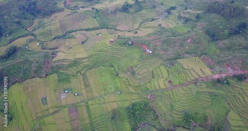 Aerial View of beautiful Lodok Cimpar Carep terrace rice fields on the outskirts of Ruteng, East Nusa Tenggara, Indonesia. photo