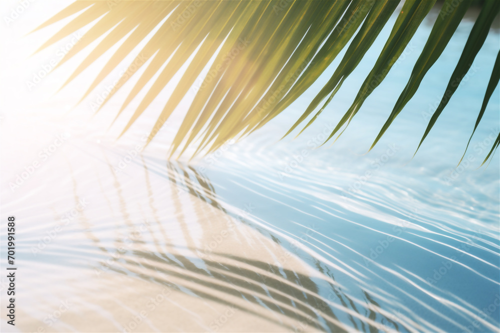 Palm leaf shadow on abstract white sand beach background, lights on water surface, natural  background