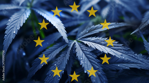 In Bezug auf die Flagge der Europäischen Union (EU), Cannabispflanzen in Blau mit den Sternen der EU-Flagge im Vordergrund. Themenbezug ist die Cannabislegalisierung in der EU.  photo