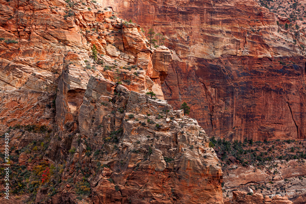 Canyon Wall Details at Zion National Park