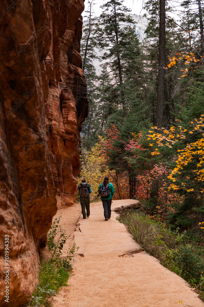 Hikers on a Trail at Zion National Park
