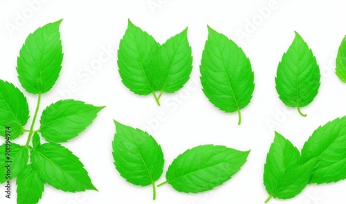 Set of flying peppermint leaves on white background from AI Generative