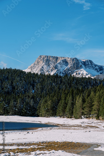 Coniferous forest at the foot of a snowy mountain near Black Lake. Durmitor National Park, Montenegro