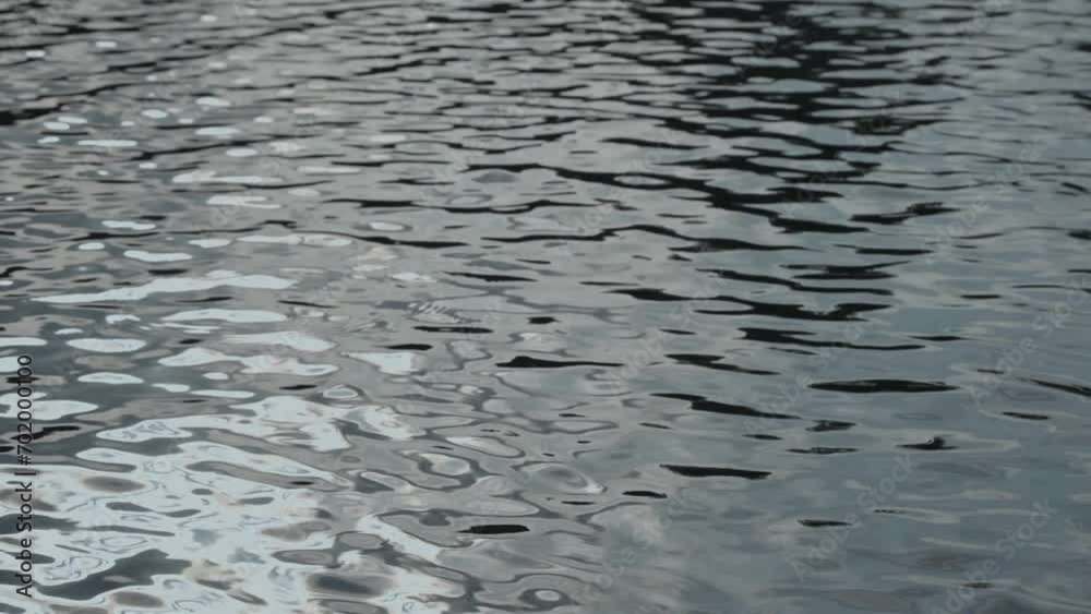 water in river water in river