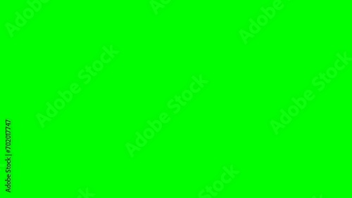 falling rain golden coin animation video green screen
