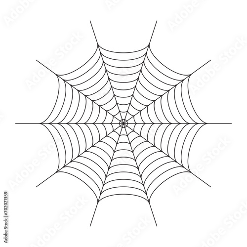 spider web vector simple illustration