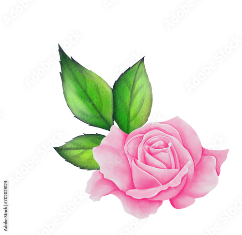 Watercolor Rose Flower