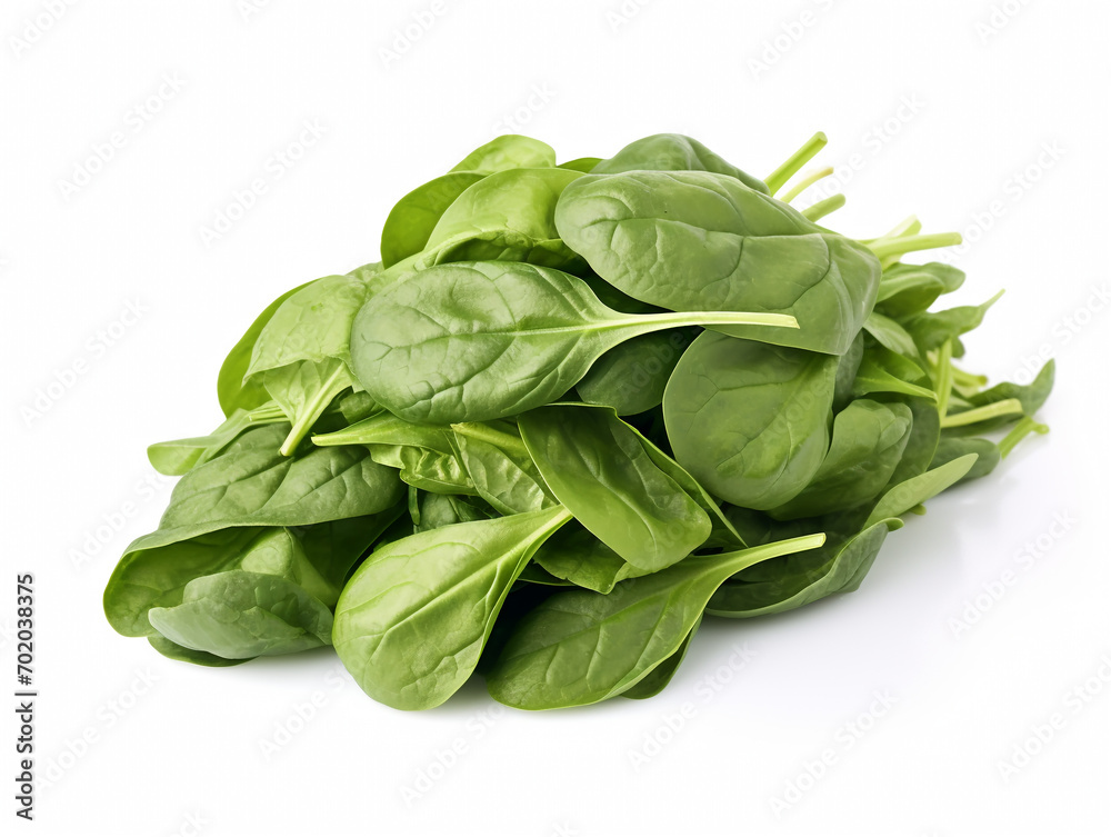 fresh spinach bundle isolated on white background fresh spinach bundle isolated on white background