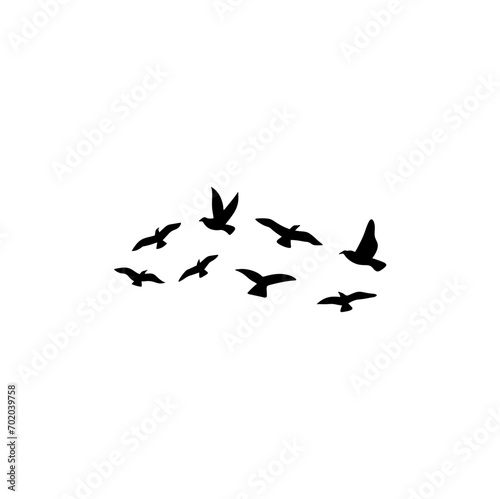 Flock of flying birds silhouette 