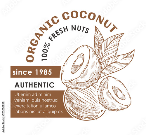Organic coconut fresh nuts, snacks for vegans