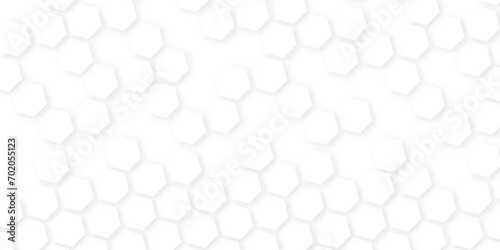 Background with white and black lines 3d Hexagonal structure futuristic white background and Embossed Hexagon , technology mosaic white background. geometric mesh cell texture. photo