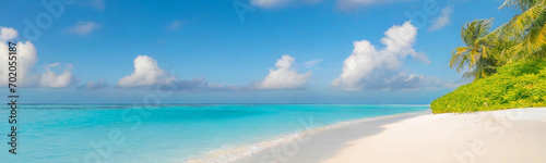 Beautiful sandy beach with white sand and rolling calm wave of turquoise ocean on Sunny day on background white clouds in blue sky. Island in Maldives  colorful perfect panoramic natural landscape   